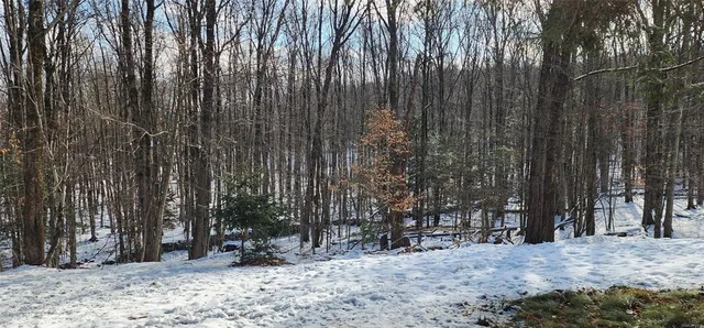 $995,000 | 1433 Country Road 56 Road, Mountain Dale, NY 12763