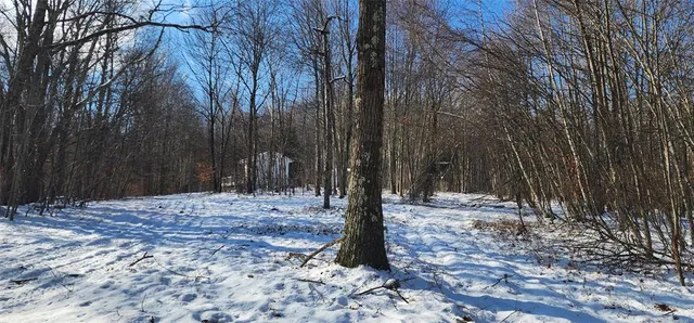 $995,000 | 1433 Country Road 56 Road, Mountain Dale, NY 12763