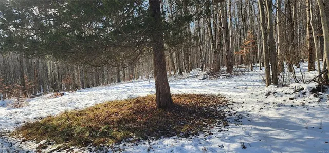 $995,000 | 1433 Country Road 56 Road, Mountain Dale, NY 12763