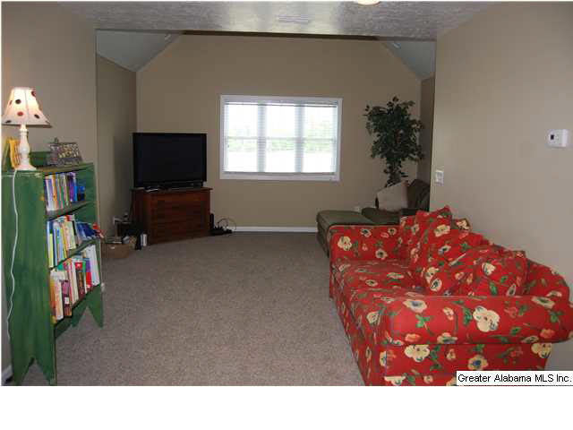 120 Websters Chapel Road Jacksonville, AL 36265 - Photo 20 of 30