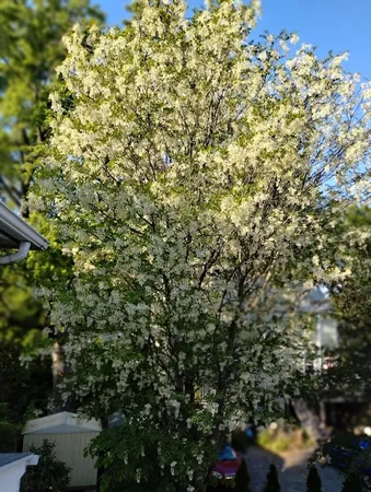 $3,900 | 10 Marrigan Street, Arlington, MA 02474