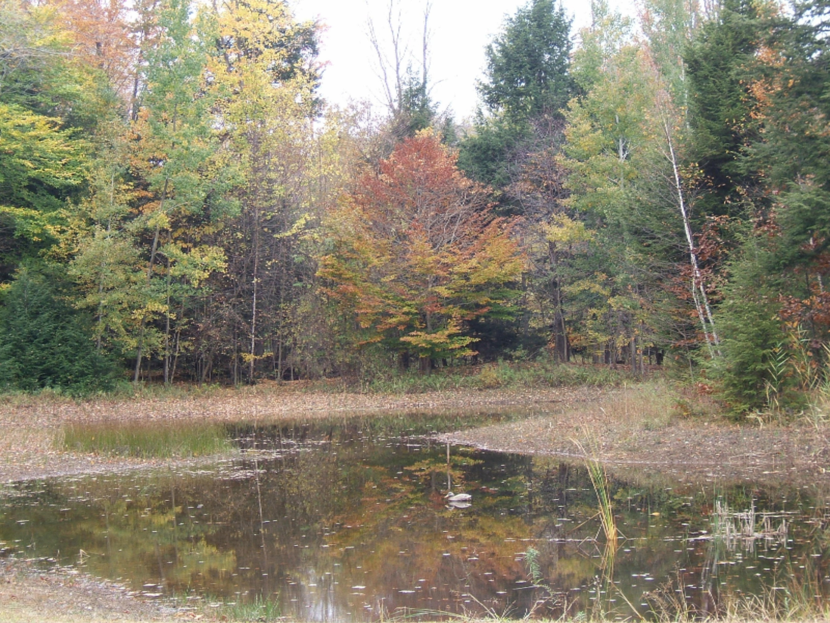 1972 West Giles Road Muskegon, MI 49445 - Photo 5 of 23 DSCF2023