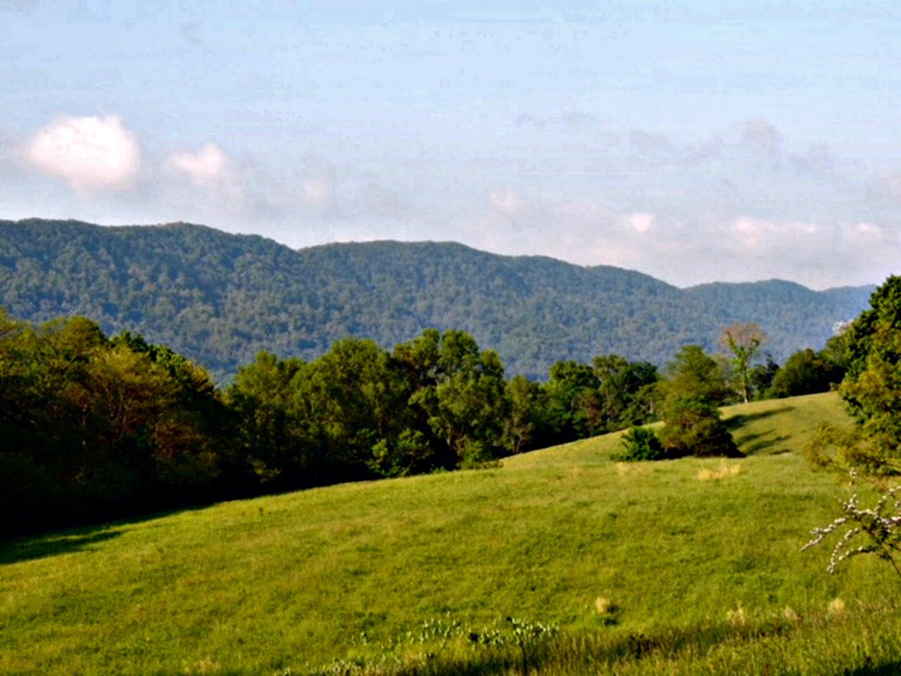 2575 Rackum Road Thorn Hill, TN 37881 - Photo 4 of 34 Gallery Image 4