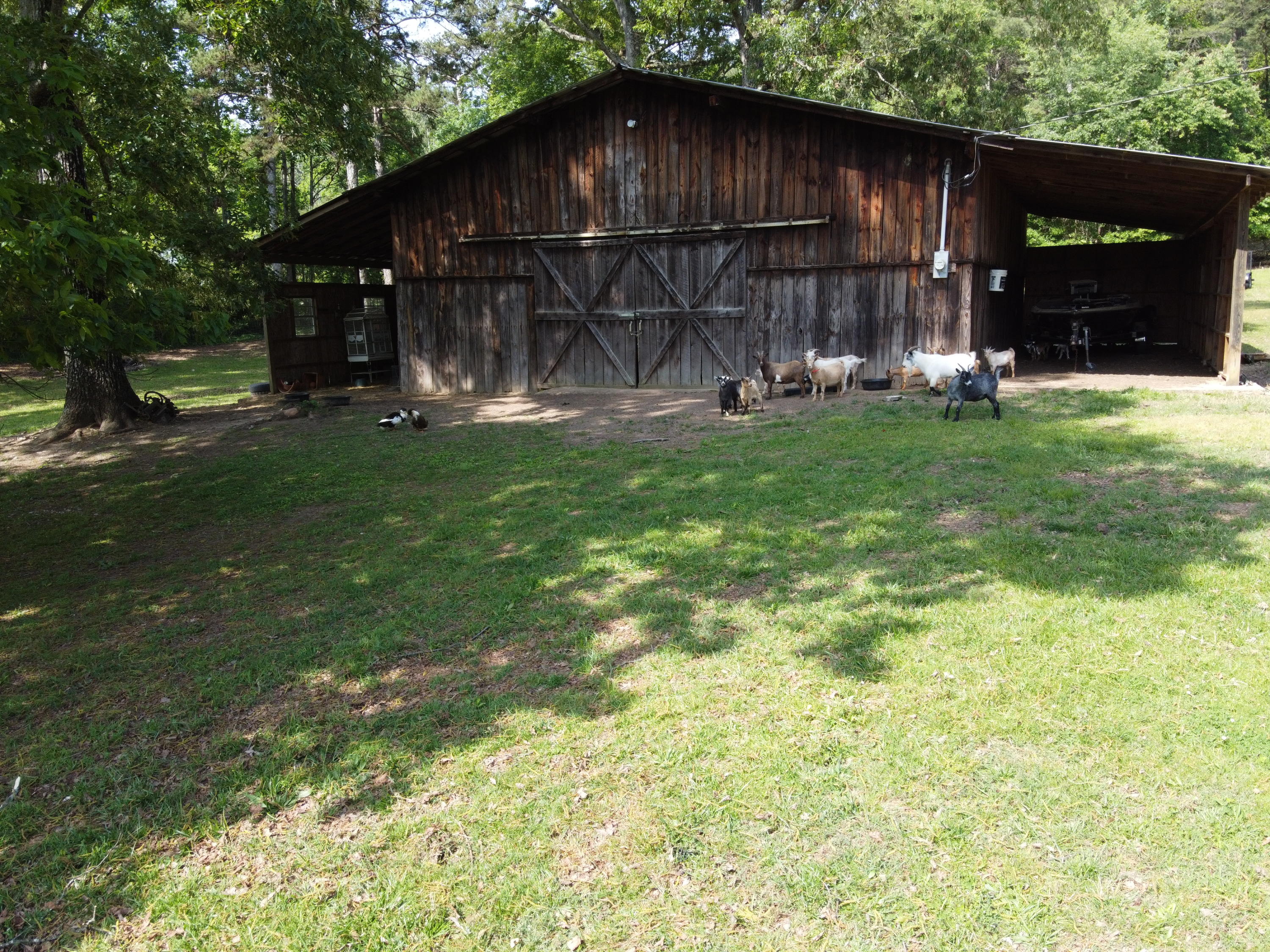 1736 Peavine Road Rock Spring, GA 30739 - Photo 23 of 26 23
