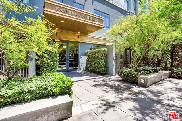 a view of a garden with plants and large trees