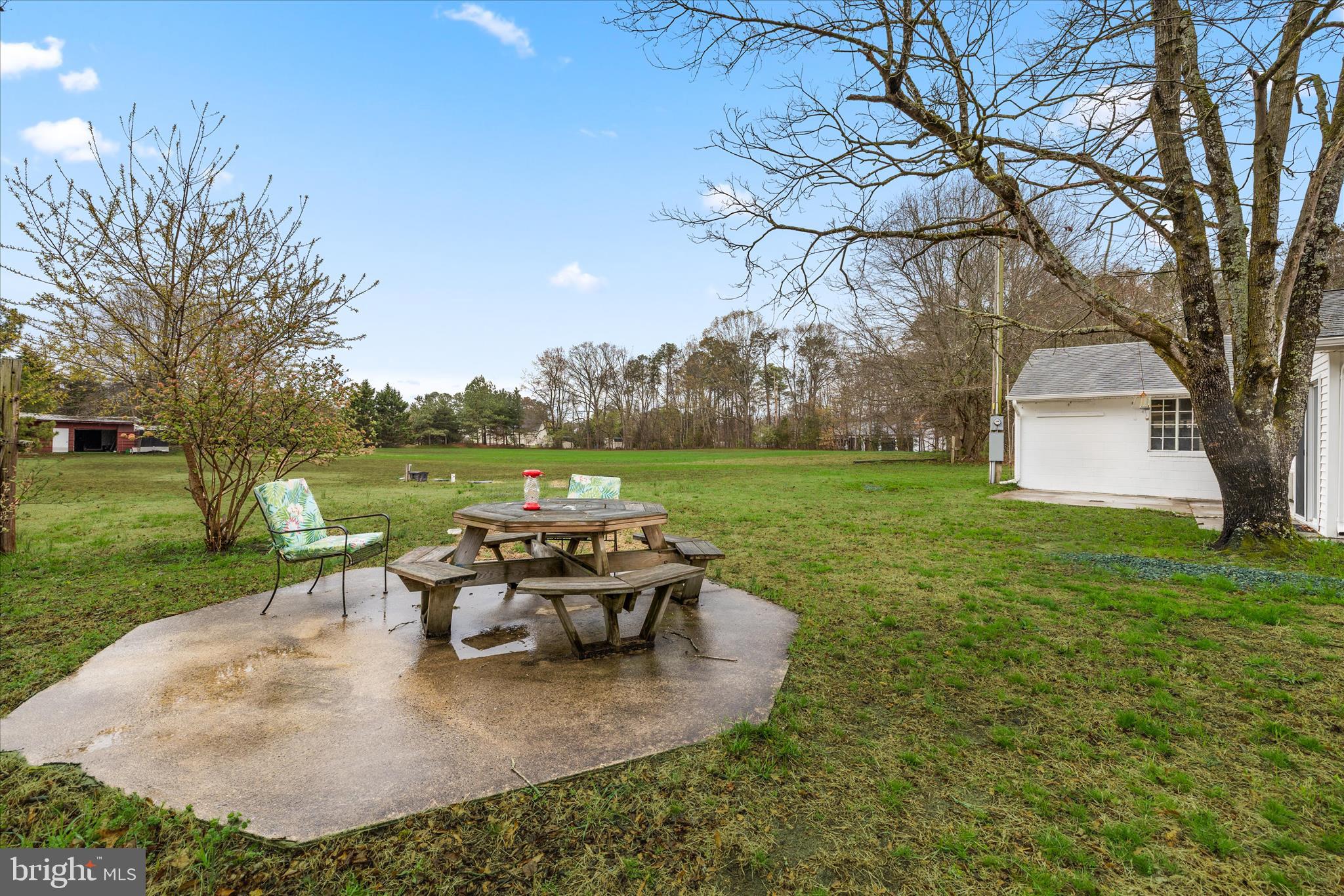 24163 Old Meadow Road Seaford, DE 19973 - Photo 51 of 98 Spacious backyard with patio and open green space