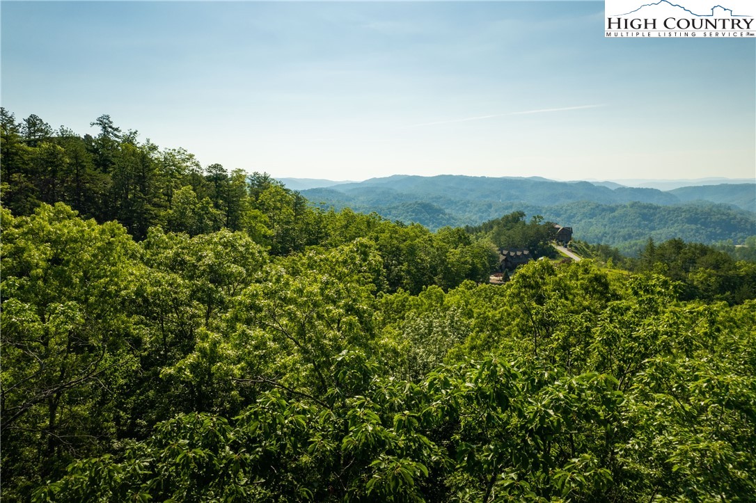 Lot 104 Nightshade Road Boone, NC 28607 - Photo 13 of 15 Gallery Image 13