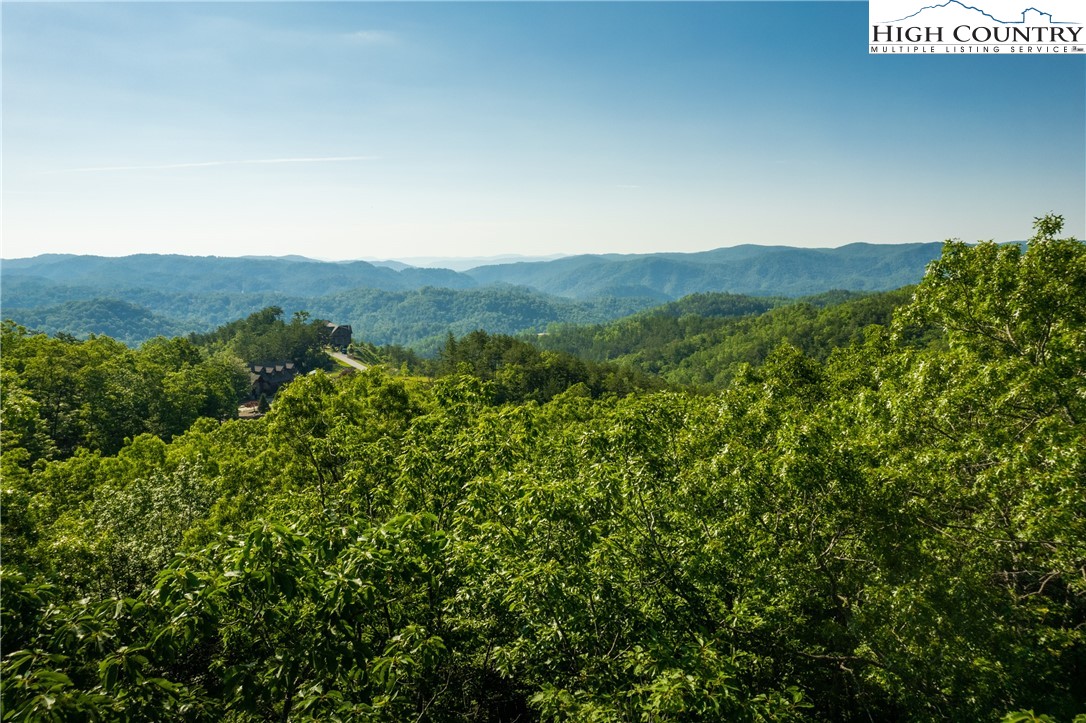 Lot 104 Nightshade Road Boone, NC 28607 - Photo 14 of 15 Gallery Image 14