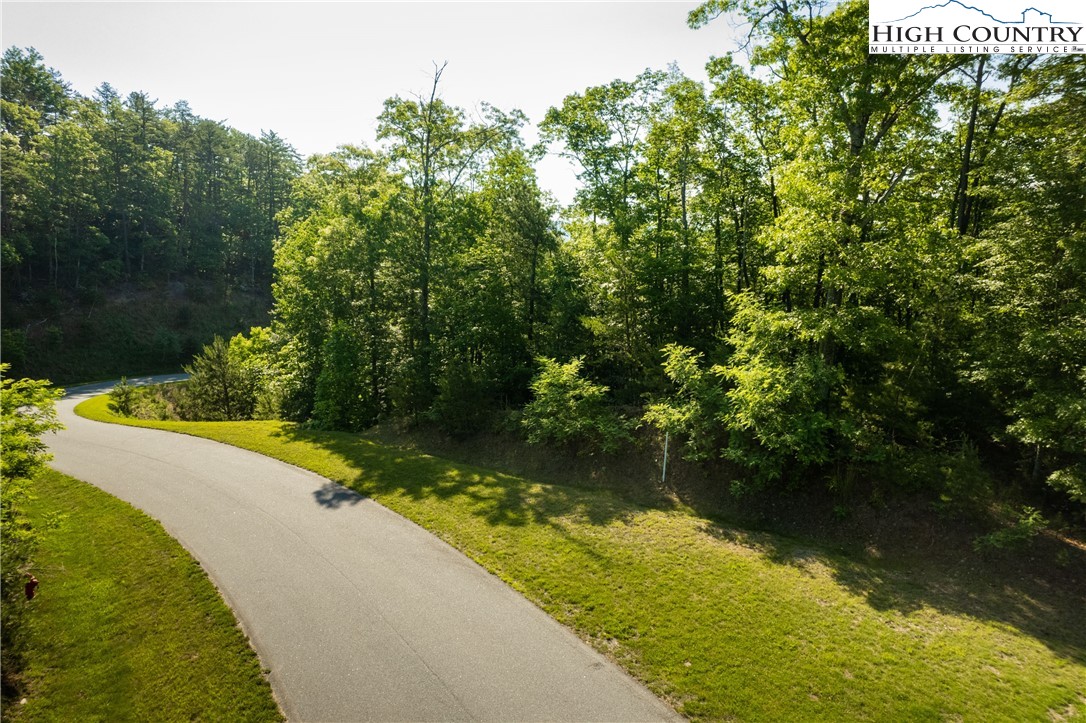 Lot 104 Nightshade Road Boone, NC 28607 - Photo 2 of 15 Gallery Image 2