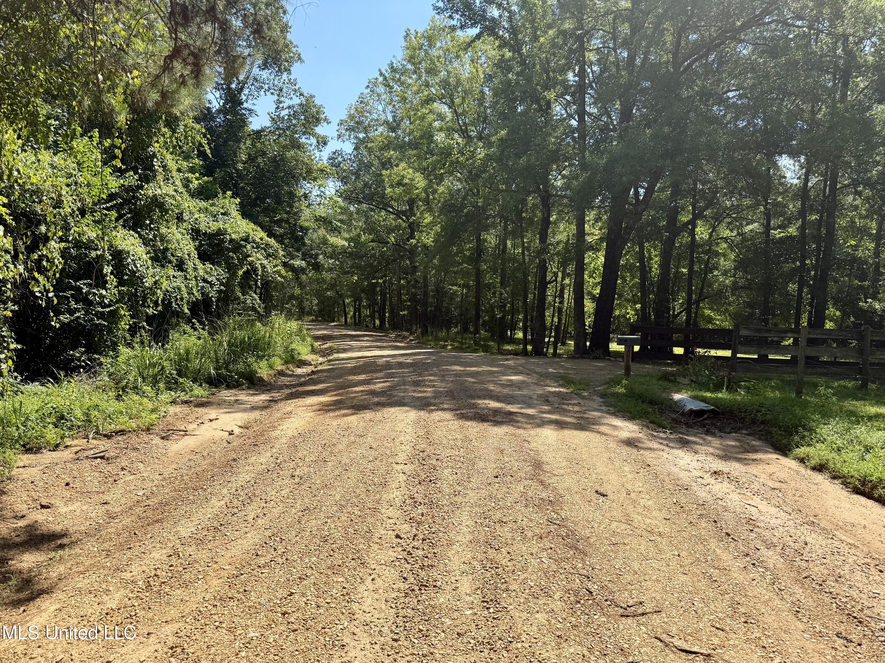 0 Broome Road Wesson, MS 39191 - Photo 11 of 12 IMG_5702