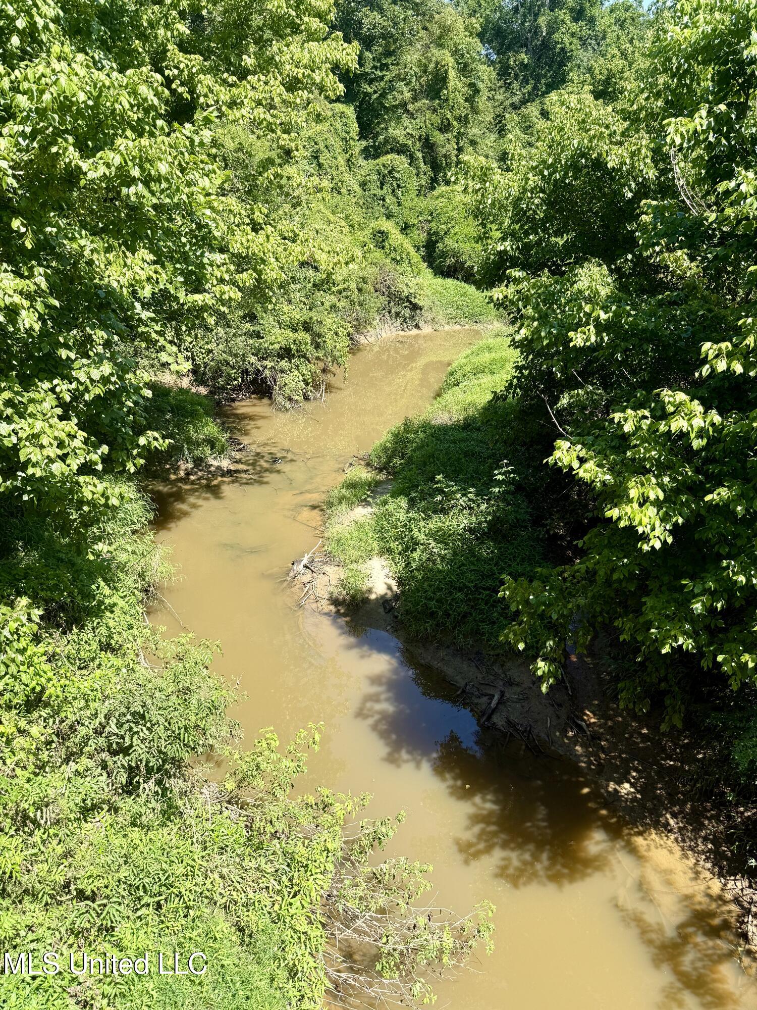 0 Broome Road Wesson, MS 39191 - Photo 2 of 12 IMG_5695