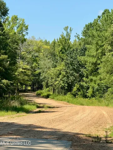 $164,500 | 0 Broome Road, Wesson, MS 39191