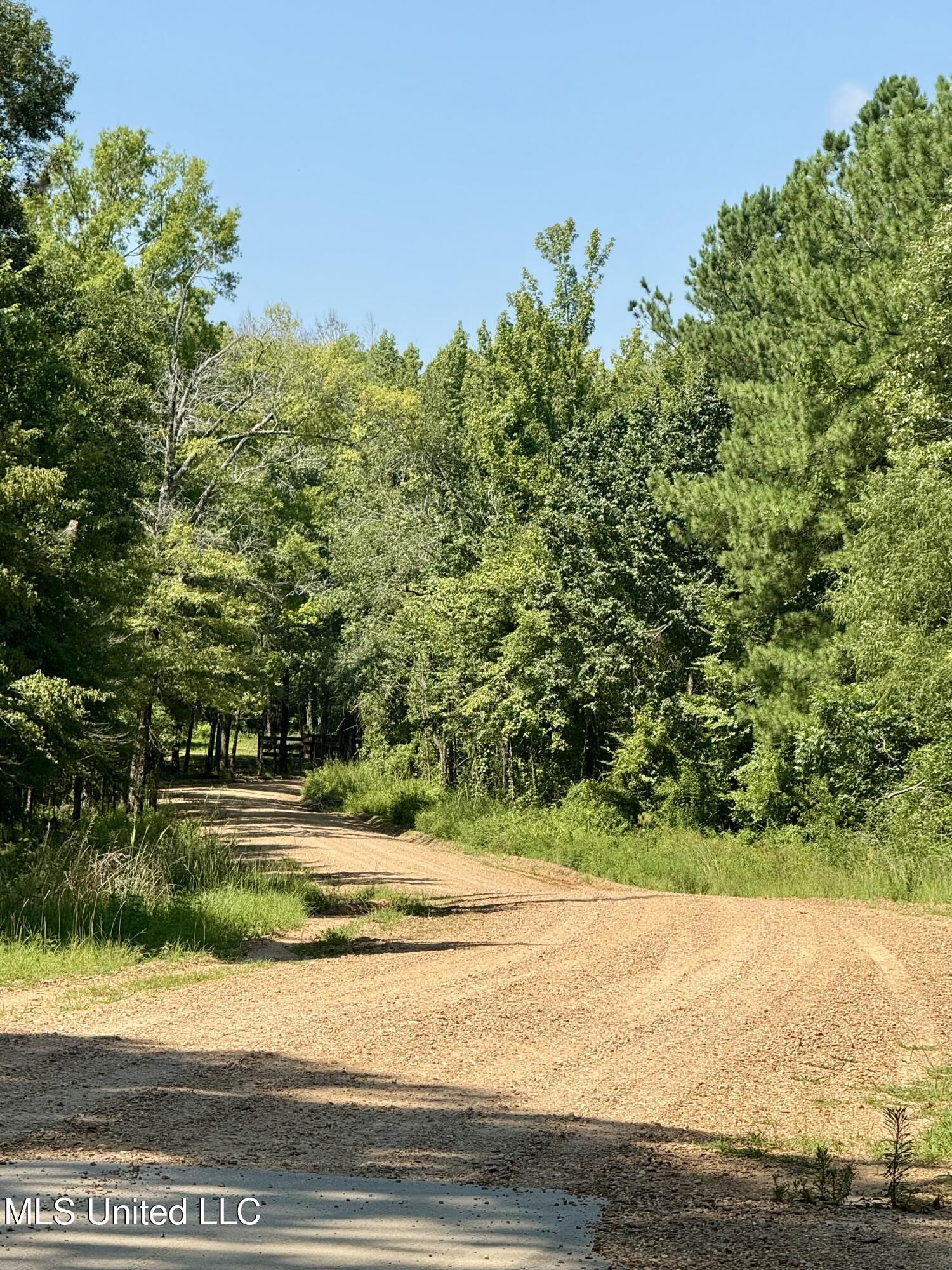 0 Broome Road Wesson, MS 39191 - Photo 3 of 12 IMG_5697
