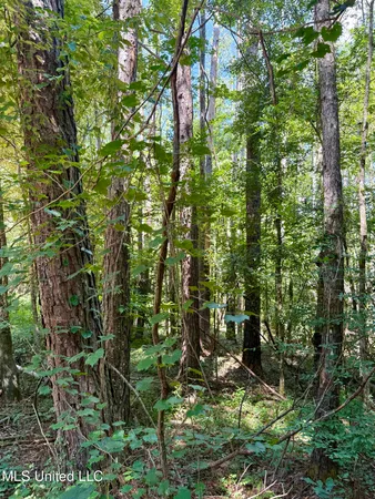 $164,500 | 0 Broome Road, Wesson, MS 39191