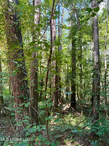 $164,500 | 0 Broome Road, Wesson, MS 39191