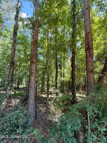 $164,500 | 0 Broome Road, Wesson, MS 39191