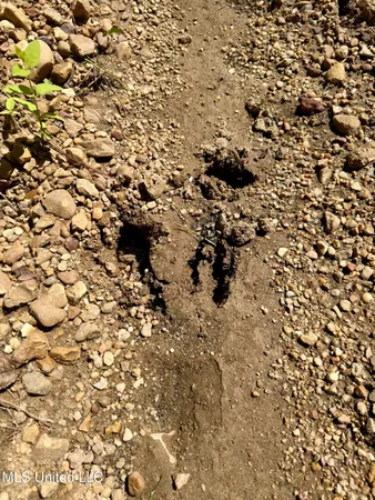 $164,500 | 0 Broome Road, Wesson, MS 39191