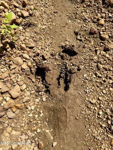 $164,500 | 0 Broome Road, Wesson, MS 39191