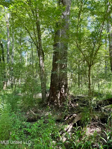 $164,500 | 0 Broome Road, Wesson, MS 39191