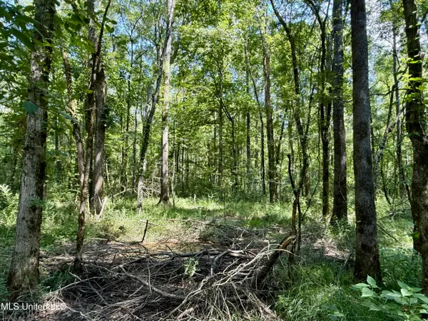 $164,500 | 0 Broome Road, Wesson, MS 39191