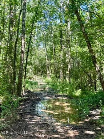 $164,500 | 0 Broome Road, Wesson, MS 39191