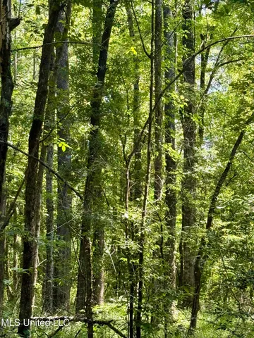 $164,500 | 0 Broome Road, Wesson, MS 39191