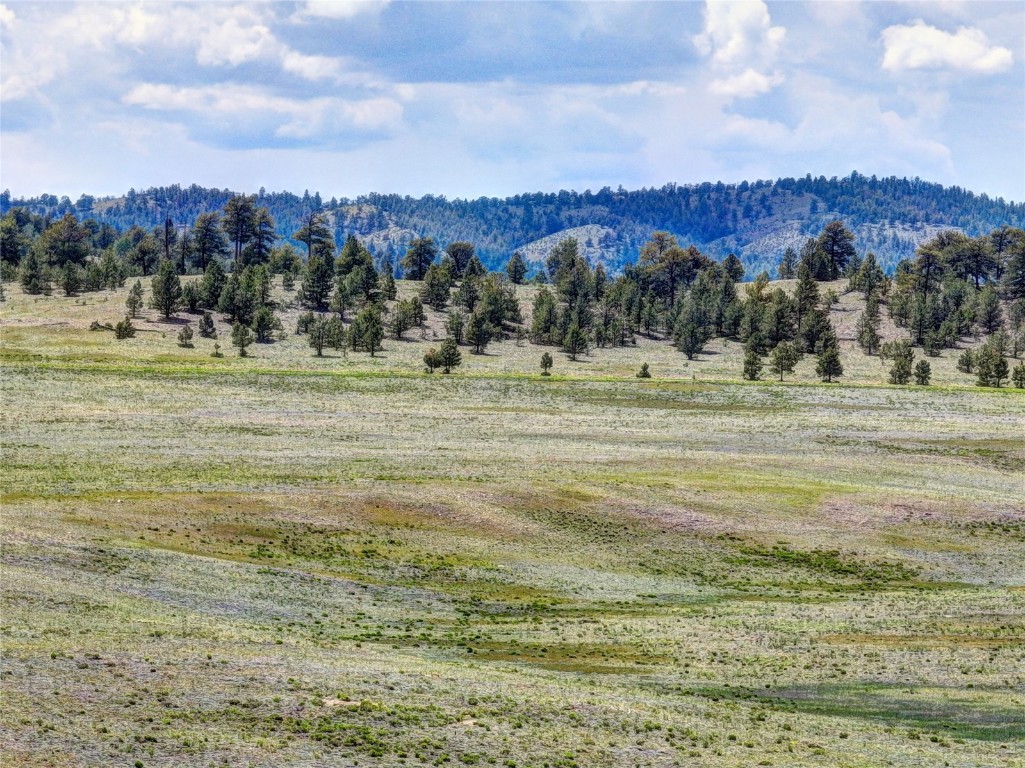 3360 Cahokia Road Hartsel, CO 80449 - Photo 3 of 11 a view of a town with mountain view