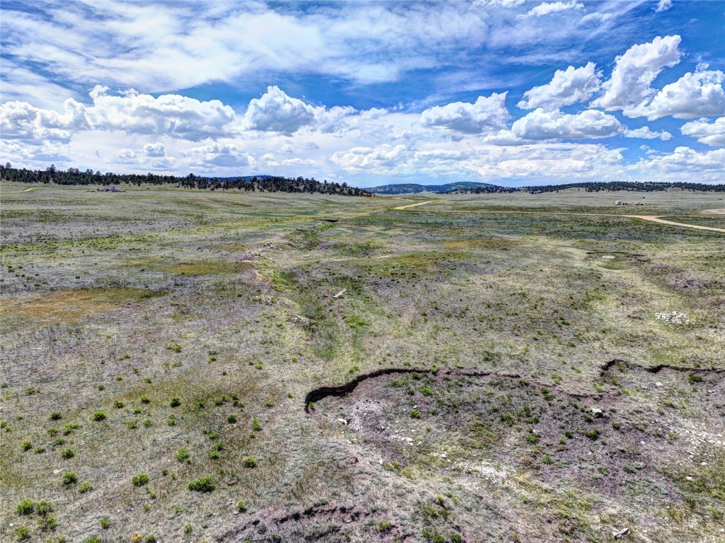 3360 Cahokia Road Hartsel, CO 80449 - Photo 4 of 11