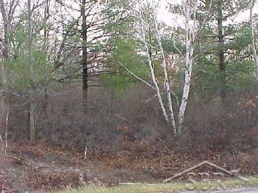 3200 North Gleaner Road Freeland, MI 48623 - Photo 5 of 7