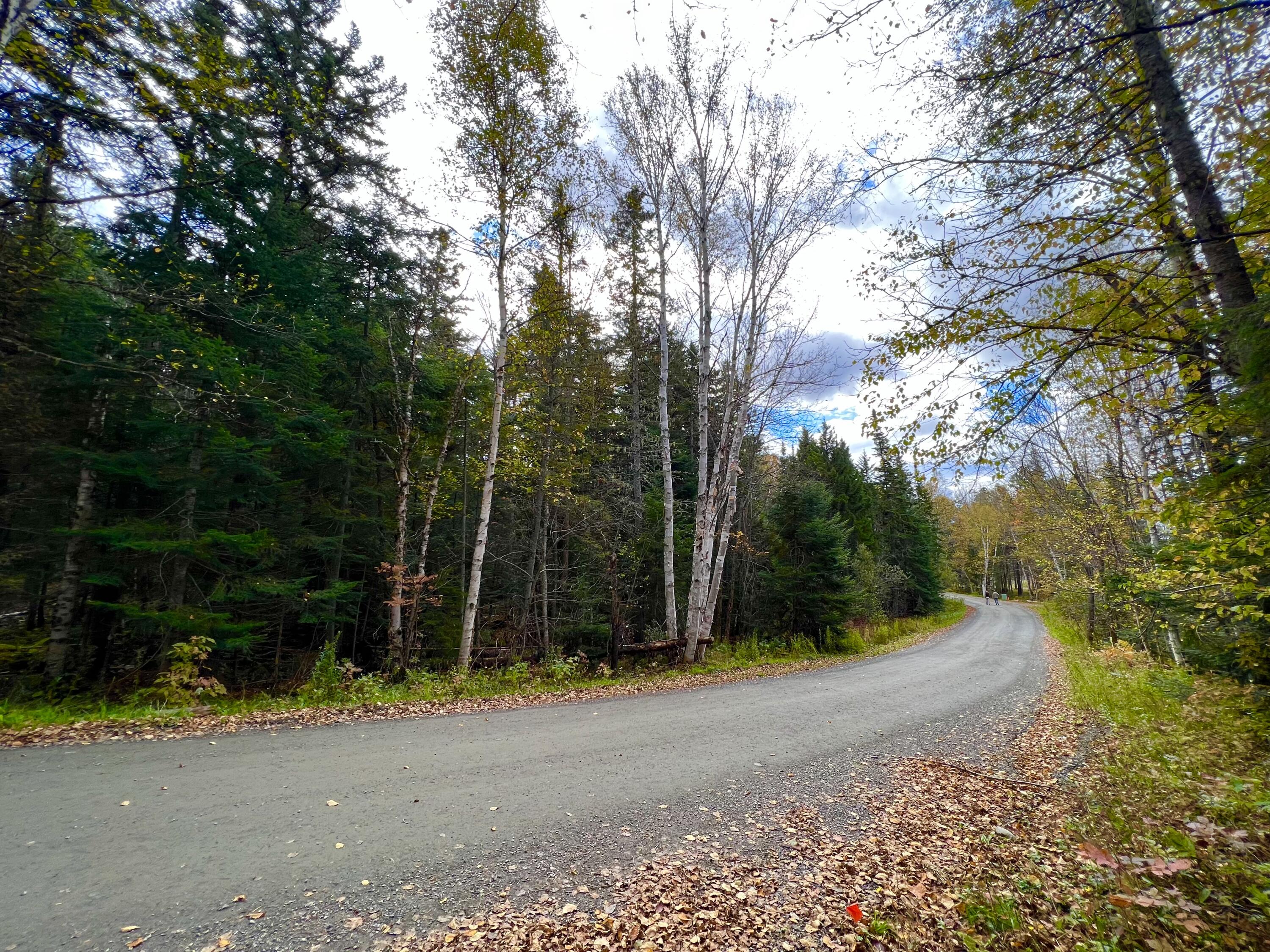 13-30 Overlook Road Sandy River Plt, ME 04970 - Photo 1 of 24 Corner Lot