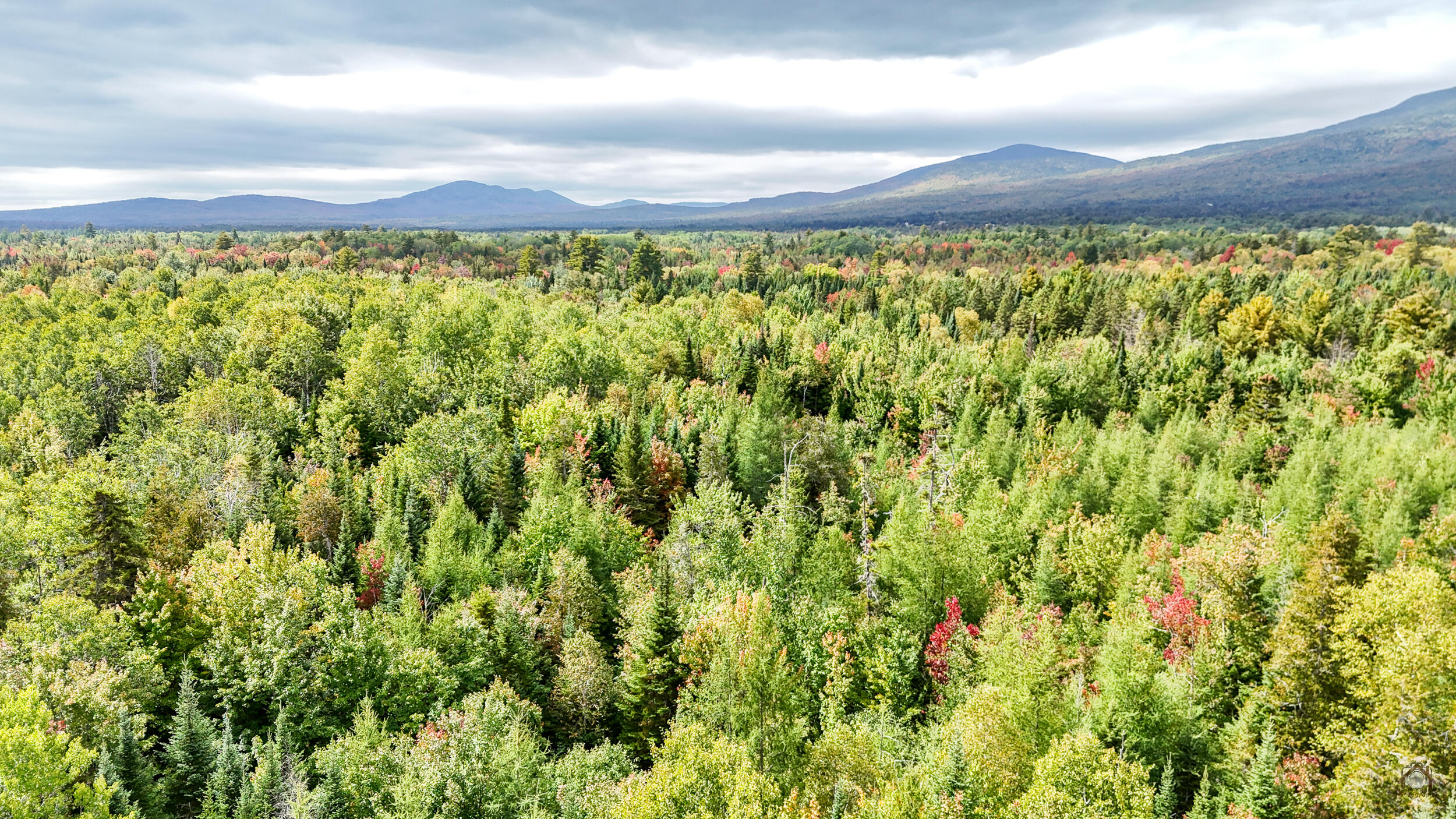 Lot F Lot F Stephensons Road Stratton, ME 04982 - Photo 10 of 25 324-DP-111