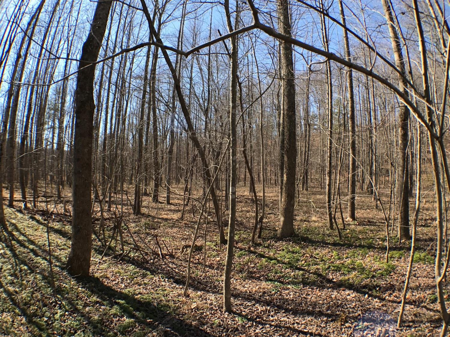 99 Haven Road Means, KY 40346 - Photo 38 of 70 Photo 38