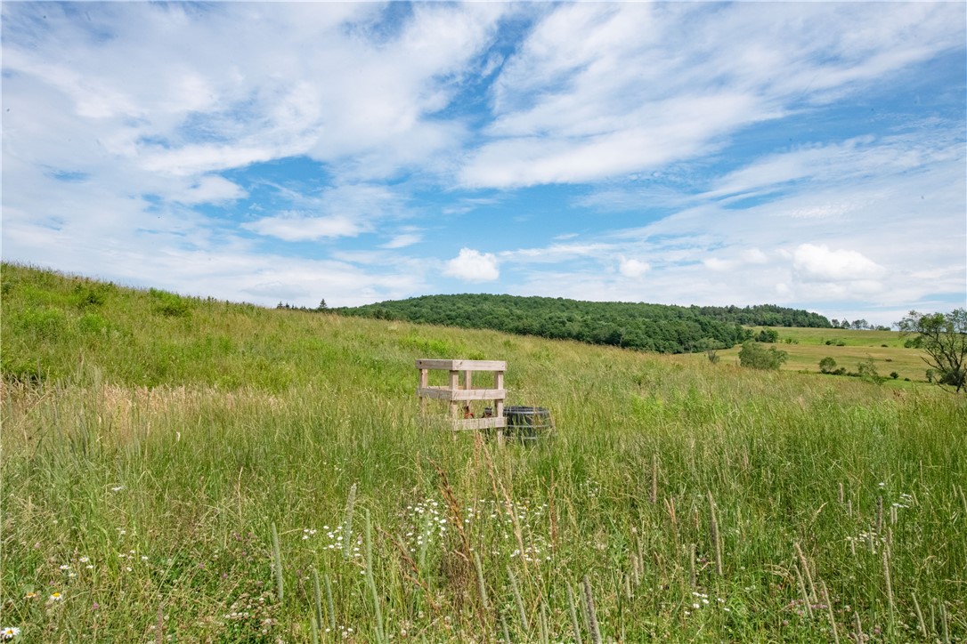 2690 Freer Hollow Road Franklin, NY 13856 - Photo 33 of 35
