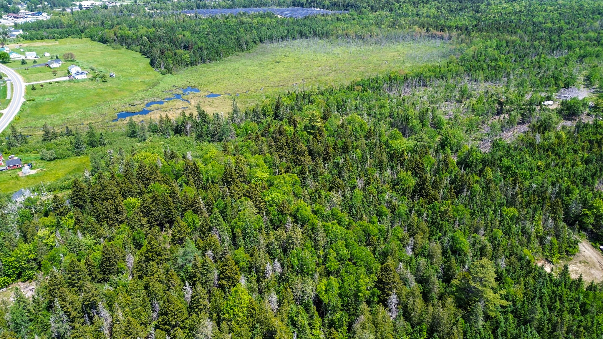 Lot 7 Kennebec Road Machias, ME 04654 - Photo 9 of 16 DJI_0490