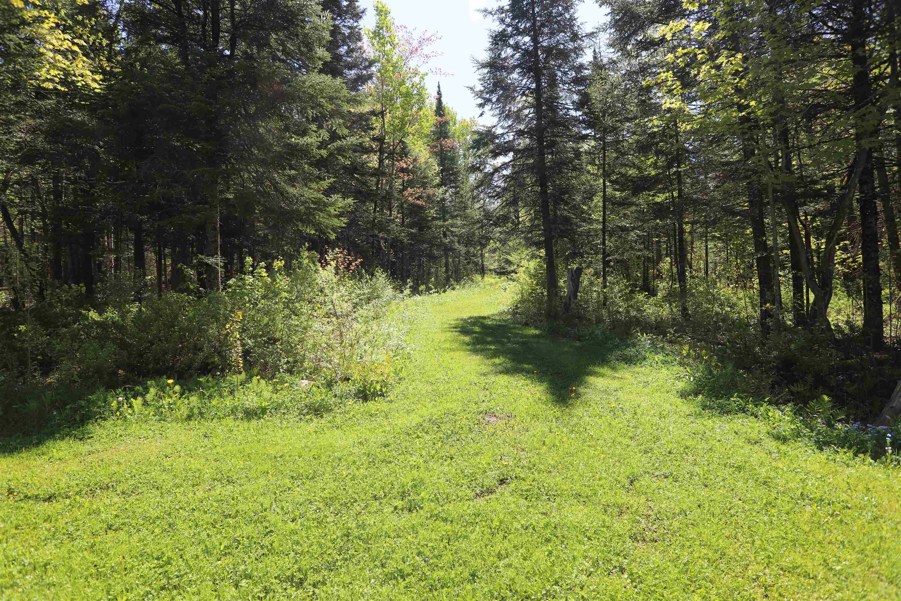 1098 Toad Pond Road Morgan, VT 05853 - Photo 21 of 51