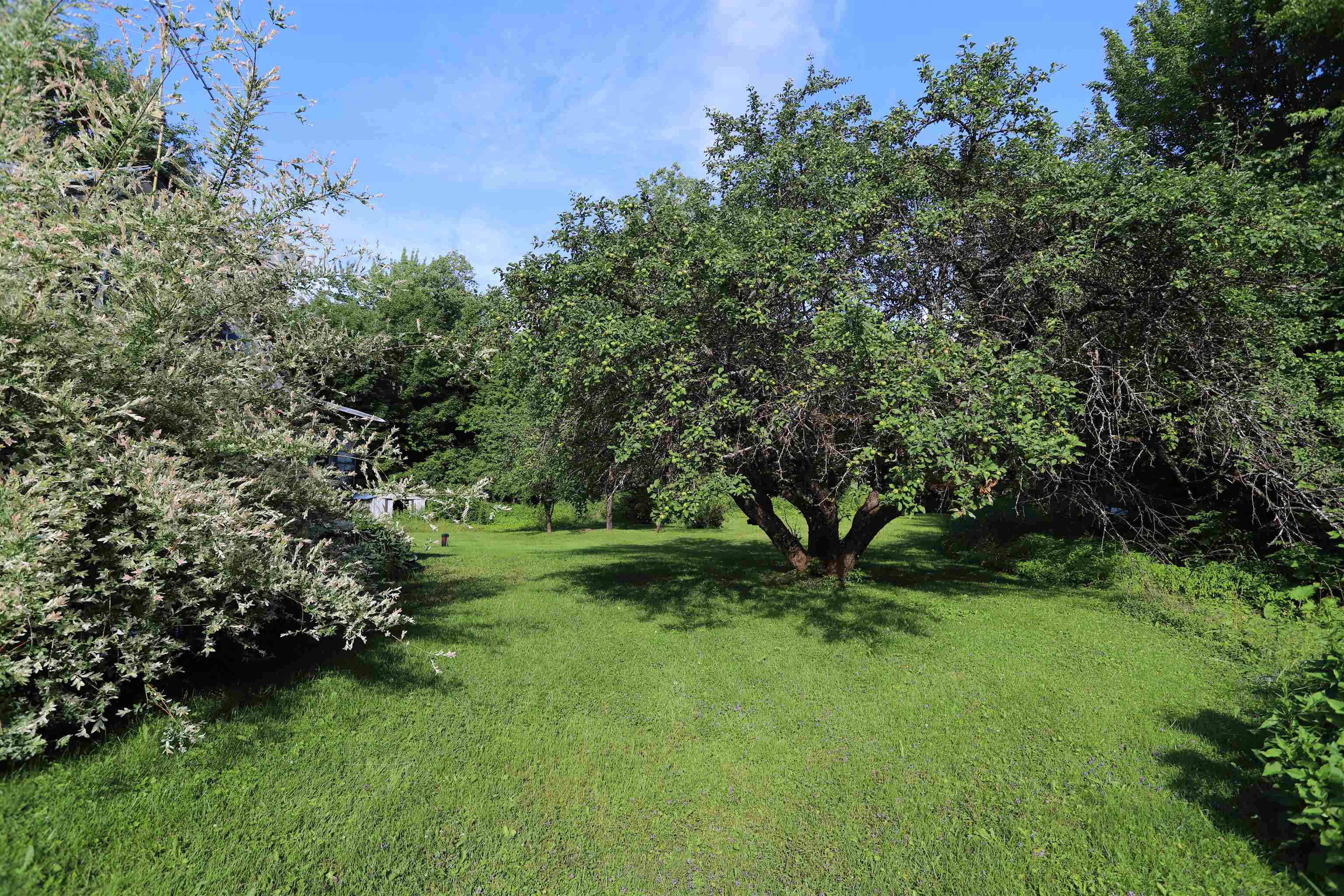 1098 Toad Pond Road Morgan, VT 05853 - Photo 29 of 51