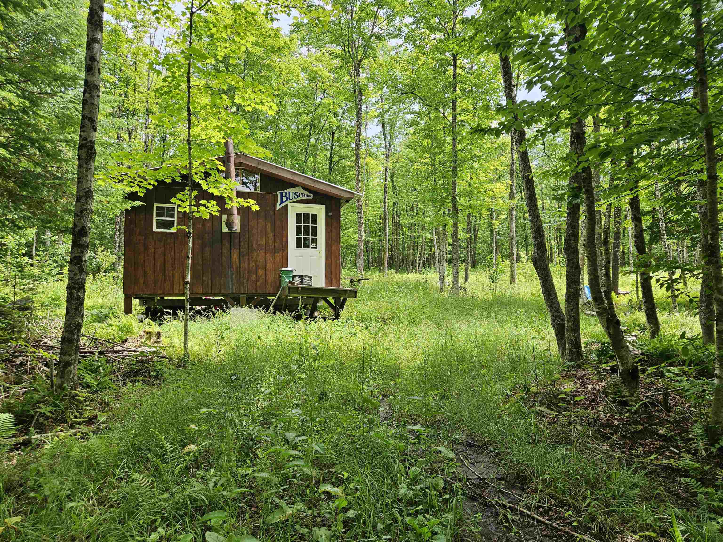 1098 Toad Pond Road Morgan, VT 05853 - Photo 39 of 51