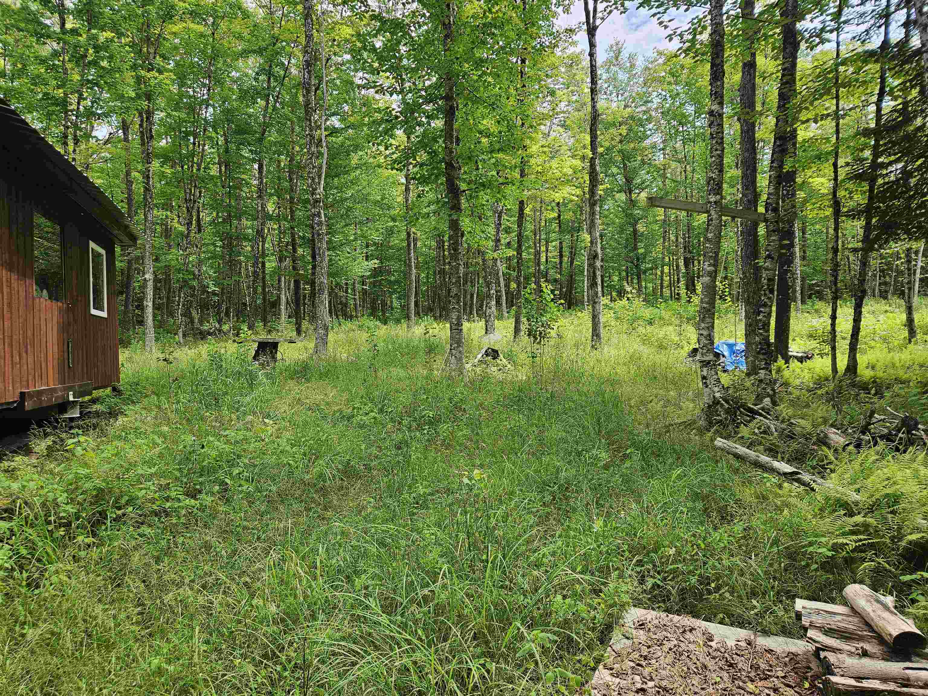 1098 Toad Pond Road Morgan, VT 05853 - Photo 40 of 51