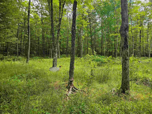 $249,900 | 1098 Toad Pond Road, Morgan, VT 05853