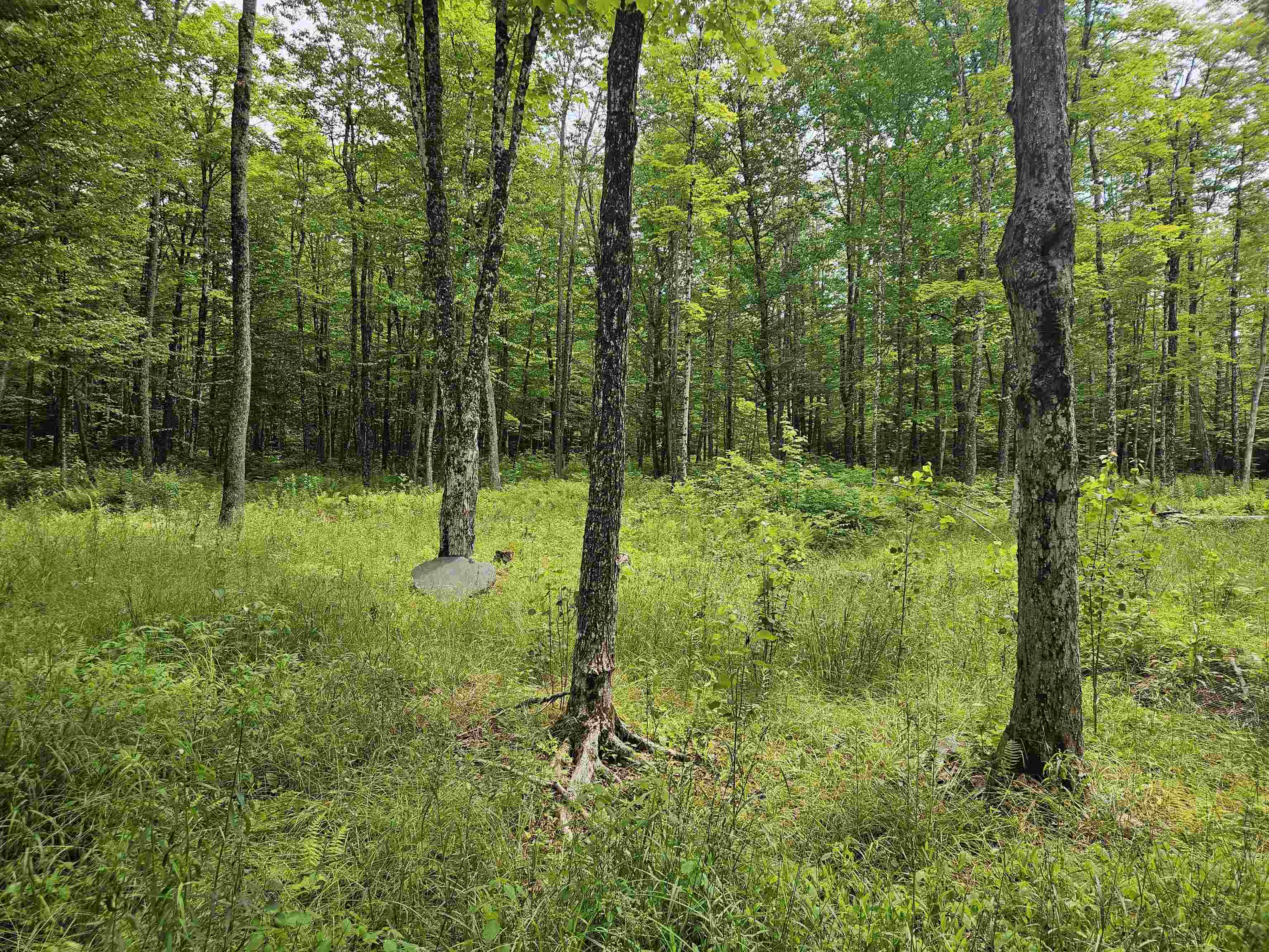 1098 Toad Pond Road Morgan, VT 05853 - Photo 41 of 51