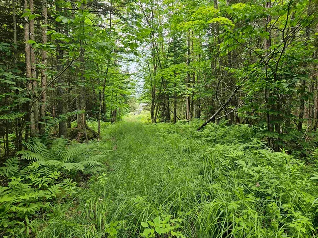 $249,900 | 1098 Toad Pond Road, Morgan, VT 05853