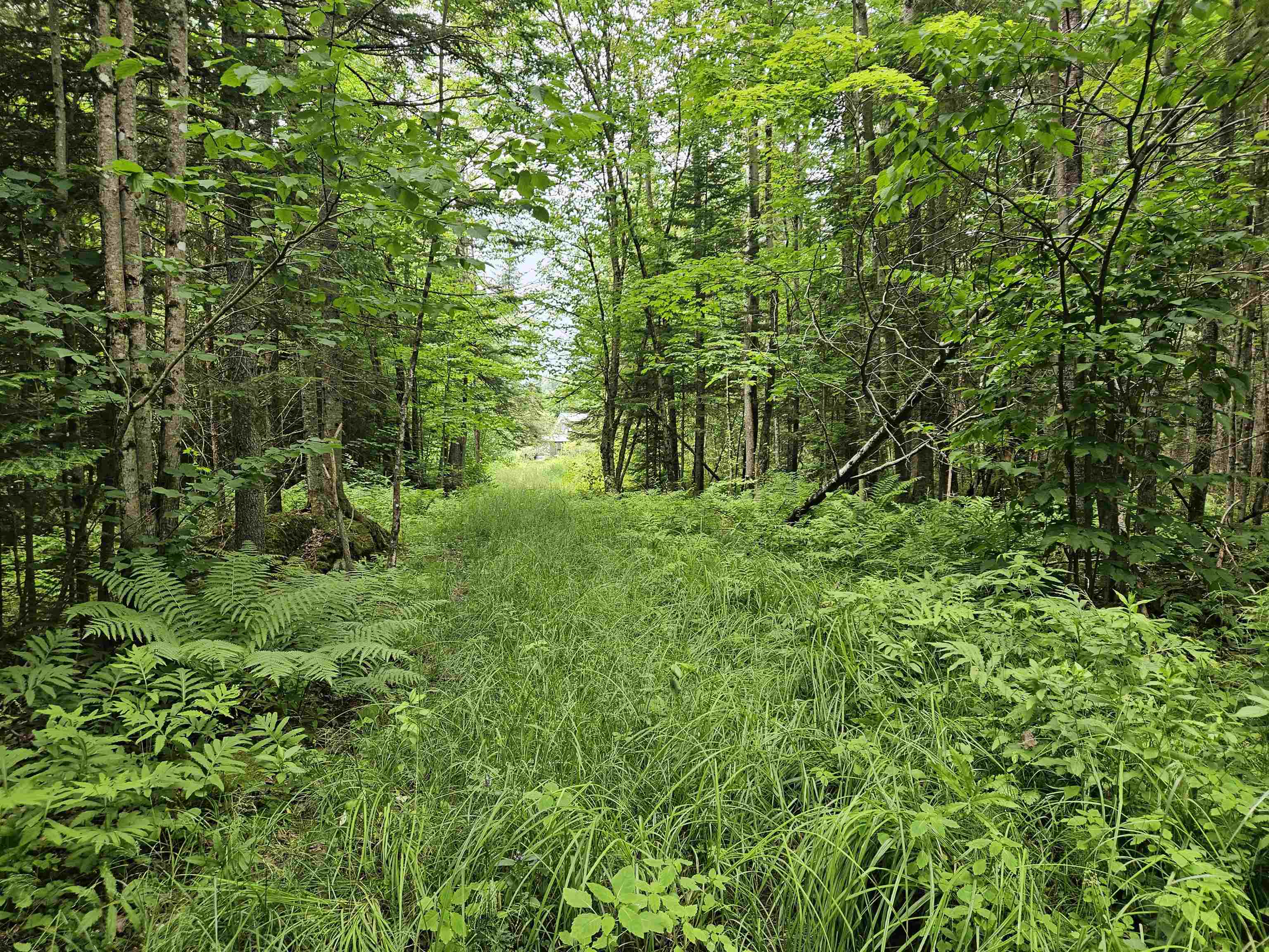 1098 Toad Pond Road Morgan, VT 05853 - Photo 45 of 51