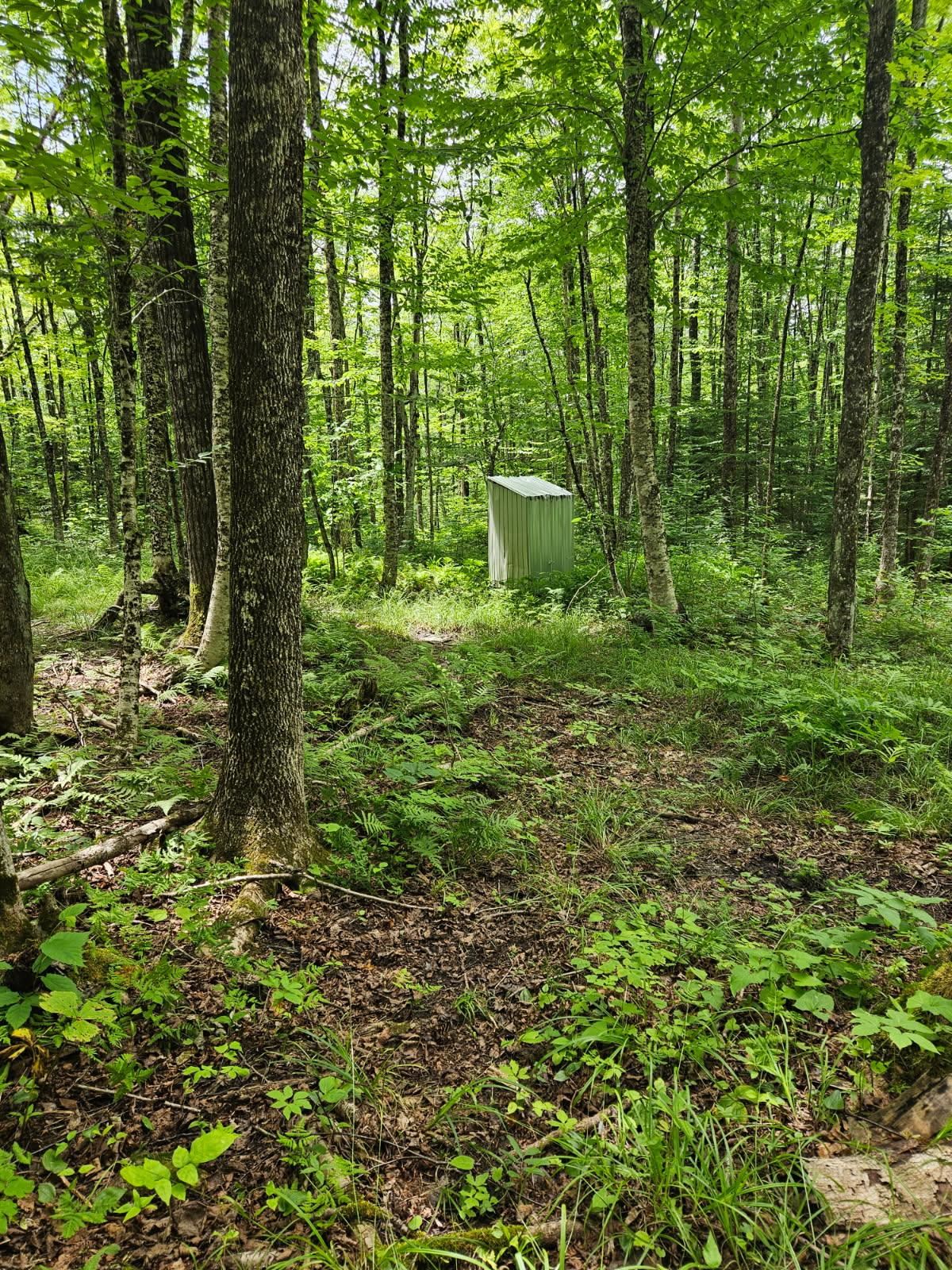 1098 Toad Pond Road Morgan, VT 05853 - Photo 46 of 51