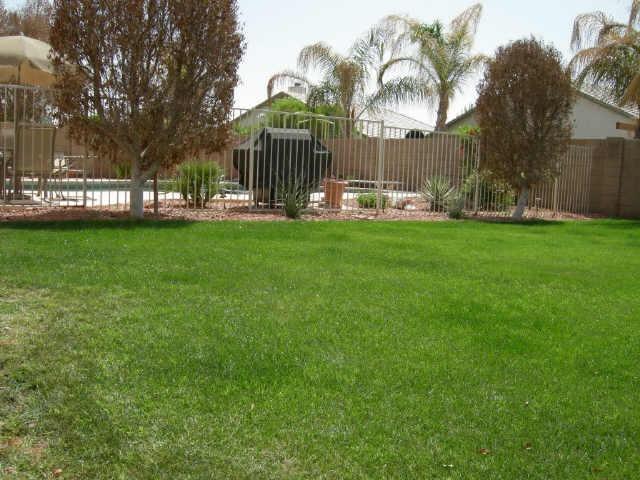 2123 East Willow Wick Road Gilbert, AZ 85296 - Photo 4 of 6 Additional Photo