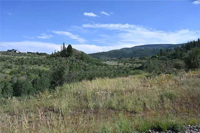 $634,900 | 23590 Young Creek Way, Oak Creek, CO 80467