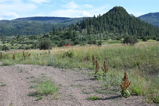 $634,900 | 23590 Young Creek Way, Oak Creek, CO 80467