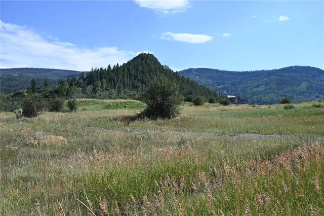 $634,900 | 23590 Young Creek Way, Oak Creek, CO 80467