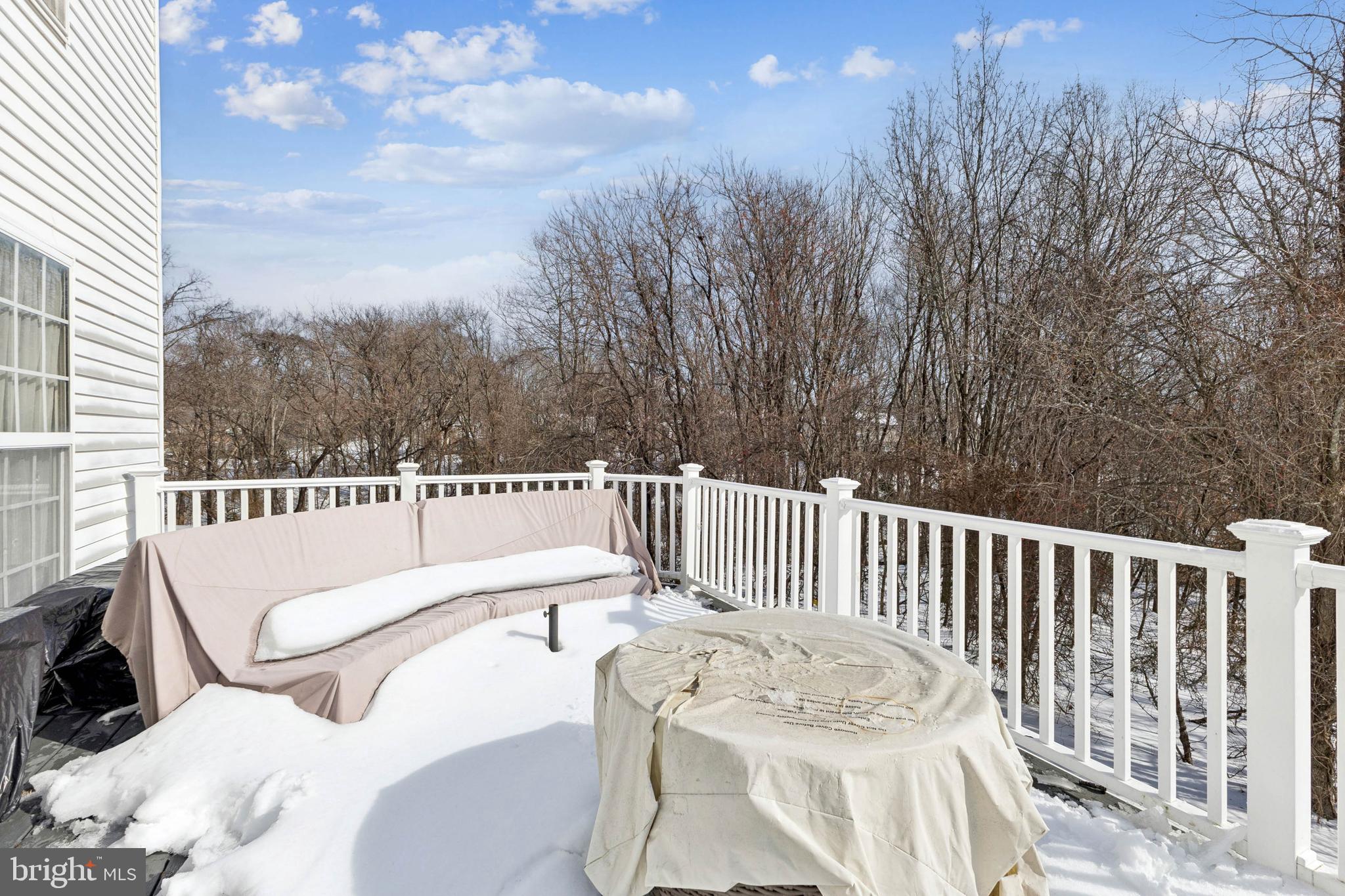 3205 Benjamin Court Clinton, MD 20735 - Photo 37 of 44 Huge Trex deck backing to trees