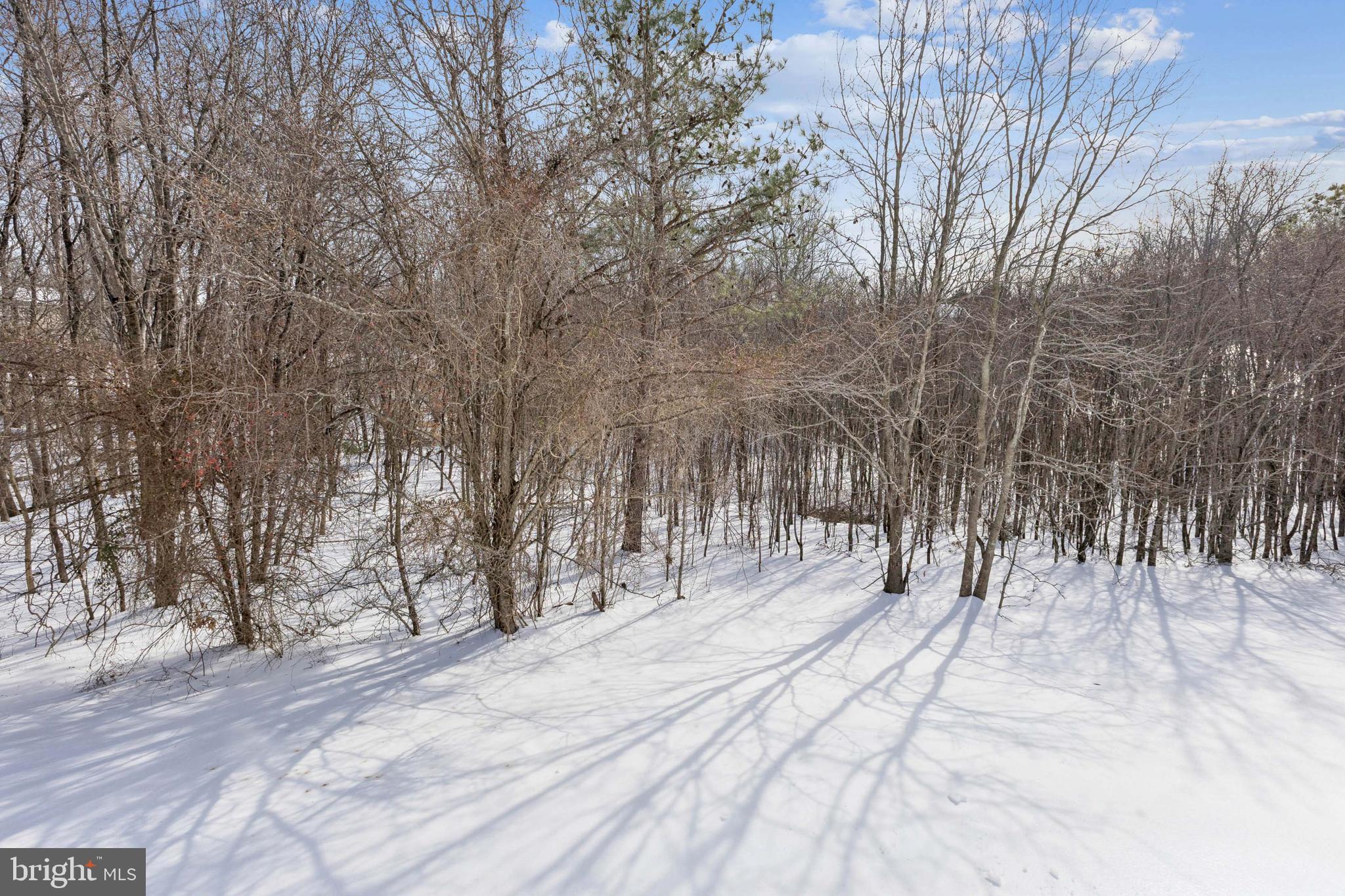 3205 Benjamin Court Clinton, MD 20735 - Photo 38 of 44 view of the wooded back