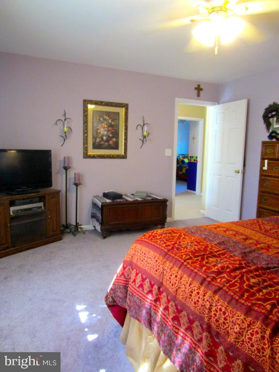 672 Laurel Avenue Lititz, PA 17543 - Photo 47 of 63